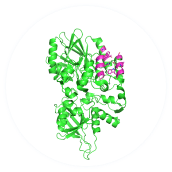 User-specified antigenic epitope residues