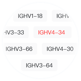 AI prediction to select the appropriate framework region
