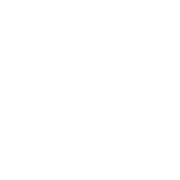 Antigenic Epitope Prediction