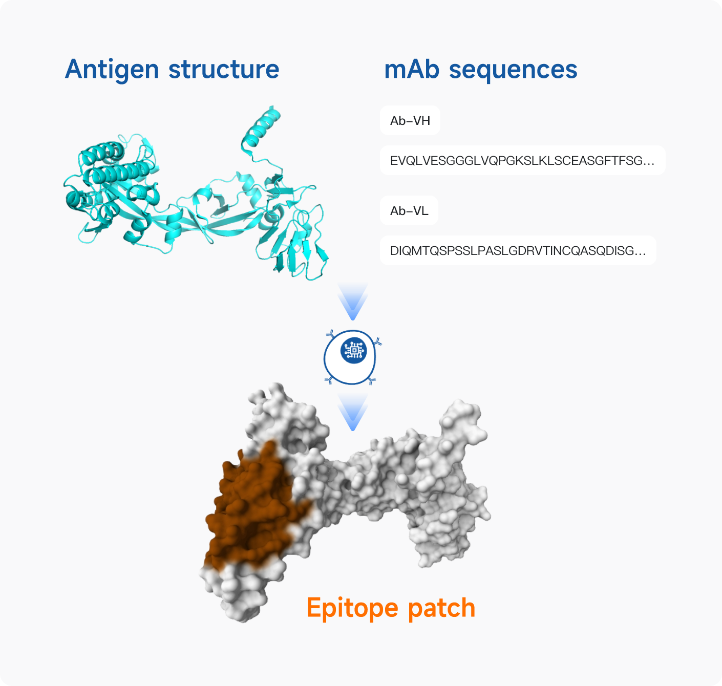 Antigenic Epitope Prediction