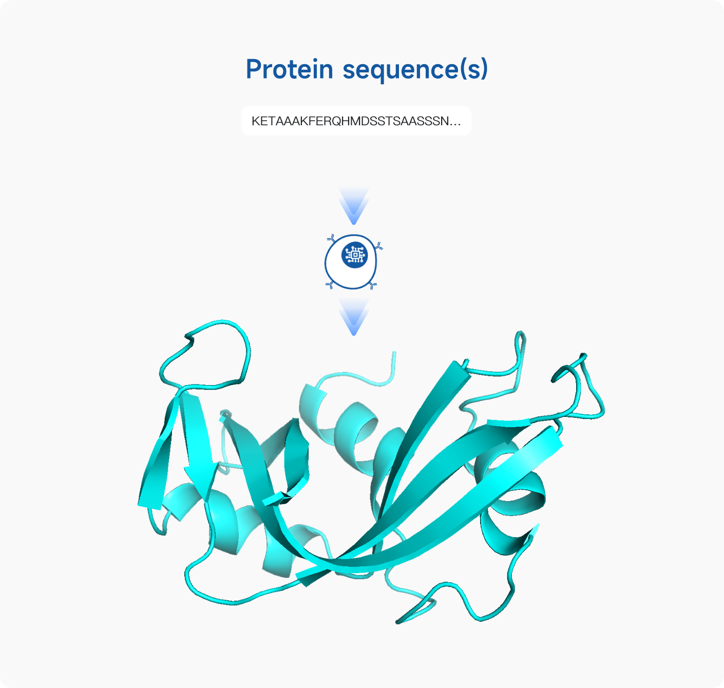 Protein Complex Structures Prediction_Alphafold2